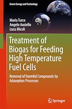 Télécharger le livre :  Treatment of Biogas for Feeding High Temperature Fuel Cells