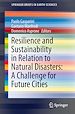 Télécharger le livre :  Resilience and Sustainability in Relation to Natural Disasters: A Challenge for Future Cities