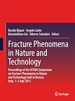 Télécharger le livre :  Fracture Phenomena in Nature and Technology