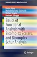 Télécharger le livre :  Basics of Functional Analysis with Bicomplex Scalars, and Bicomplex Schur Analysis