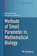 Télécharger le livre :  Methods of Small Parameter in Mathematical Biology