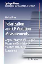Télécharger le livre :  Polarization and CP Violation Measurements