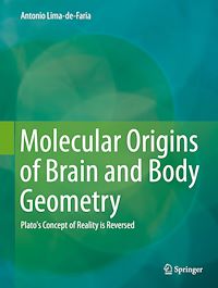 Télécharger le livre :  Molecular Origins of Brain and Body Geometry