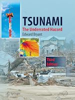 Télécharger le livre :  Tsunami