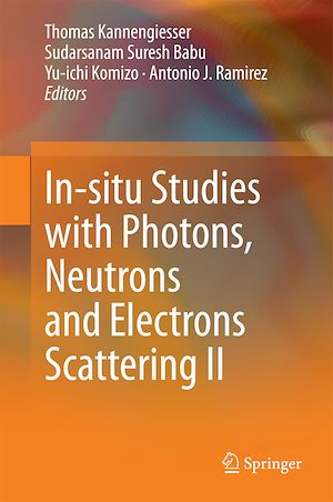 Téléchargez le livre :  In-situ Studies with Photons, Neutrons and Electrons Scattering II