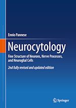 Télécharger le livre :  Neurocytology