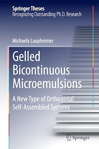 Télécharger le livre :  Gelled Bicontinuous Microemulsions