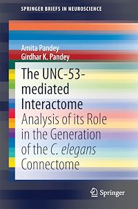 Télécharger le livre :  The UNC-53-mediated Interactome
