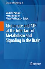 Télécharger le livre :  Glutamate and ATP at the Interface of Metabolism and Signaling in the Brain