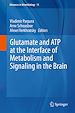 Télécharger le livre :  Glutamate and ATP at the Interface of Metabolism and Signaling in the Brain