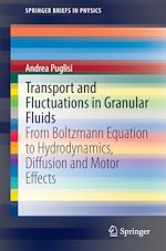 Télécharger le livre :  Transport and Fluctuations in Granular Fluids