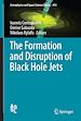 Télécharger le livre :  The Formation and Disruption of Black Hole Jets