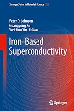 Download this eBook Iron-Based Superconductivity