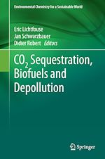Télécharger le livre :  CO2 Sequestration, Biofuels and Depollution