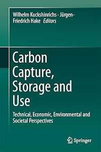 Télécharger le livre :  Carbon Capture, Storage and Use