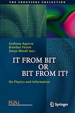 Download this eBook It From Bit or Bit From It?