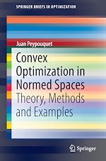 Download this eBook Convex Optimization in Normed Spaces