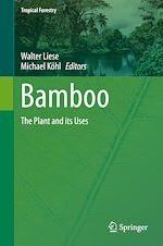 Télécharger le livre :  Bamboo
