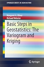 Télécharger le livre :  Basic Steps in Geostatistics: The Variogram and Kriging