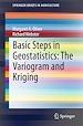 Télécharger le livre :  Basic Steps in Geostatistics: The Variogram and Kriging