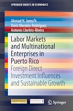 Télécharger le livre :  Labor Markets and Multinational Enterprises in Puerto Rico