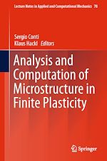 Télécharger le livre :  Analysis and Computation of Microstructure in Finite Plasticity