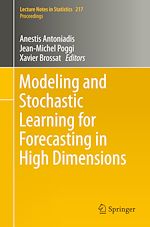 Télécharger le livre :  Modeling and Stochastic Learning for Forecasting in High Dimensions