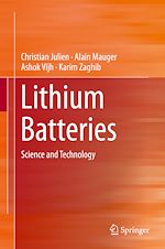 Télécharger le livre :  Lithium Batteries