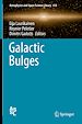 Télécharger le livre :  Galactic Bulges