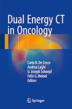 Télécharger le livre :  Dual Energy CT in Oncology