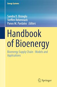 Télécharger le livre :  Handbook of Bioenergy
