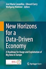 Download this eBook New Horizons for a Data-Driven Economy