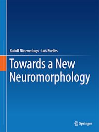 Téléchargez le livre :  Towards a New Neuromorphology