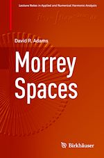 Télécharger le livre :  Morrey Spaces