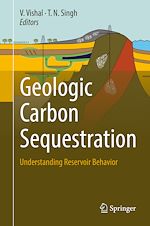 Télécharger le livre :  Geologic Carbon Sequestration