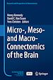Télécharger le livre :  Micro-, Meso- and Macro-Connectomics of the Brain