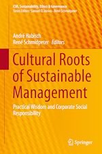 Télécharger le livre :  Cultural Roots of Sustainable Management