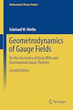 Télécharger le livre :  Geometrodynamics of Gauge Fields