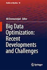 Télécharger le livre :  Big Data Optimization: Recent Developments and Challenges