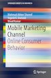 Télécharger le livre :  Mobile Marketing Channel