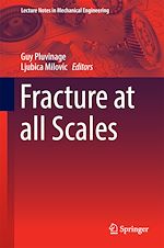 Télécharger le livre :  Fracture at all Scales