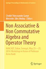 Télécharger le livre :  Non-Associative and Non-Commutative Algebra and Operator Theory