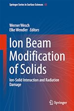Télécharger le livre :  Ion Beam Modification of Solids