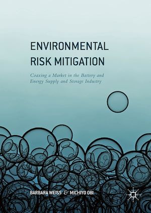 Téléchargez le livre :  Environmental Risk Mitigation