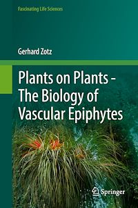 Télécharger le livre :  Plants on Plants – The Biology of Vascular Epiphytes