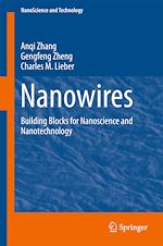 Télécharger le livre :  Nanowires
