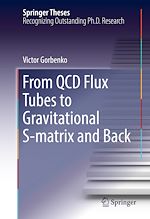 Télécharger le livre :  From QCD Flux Tubes to Gravitational S-matrix and Back
