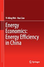 Télécharger le livre :  Energy Economics: Energy Efficiency in China