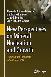 Télécharger le livre :  New Perspectives on Mineral Nucleation and Growth