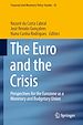 Télécharger le livre :  The Euro and the Crisis